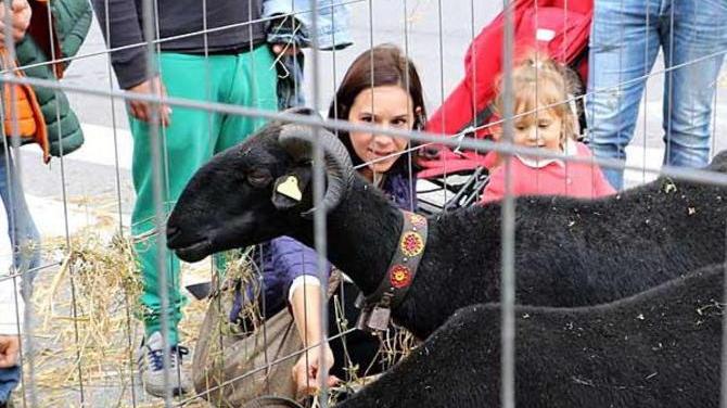 Croccante e cavalieri, trattori e animali: l’invasione della città
