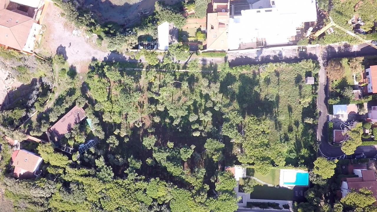 Un'immagine del parco realizzata negli ultimi mesi