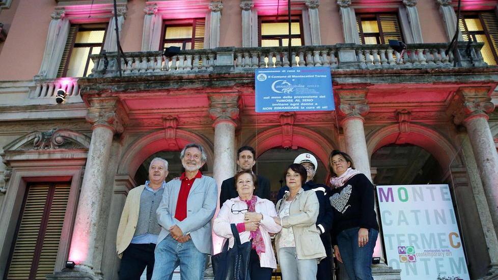 Municipio illuminato di rosa
