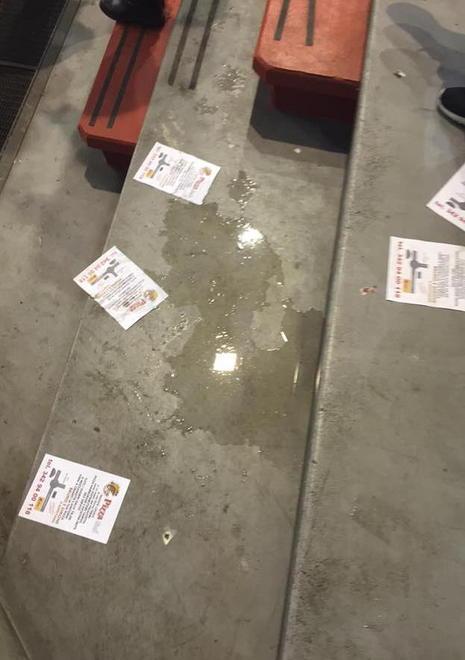 Tifosi con l’ombrello torna a piovere dentro il PalaCarrara 