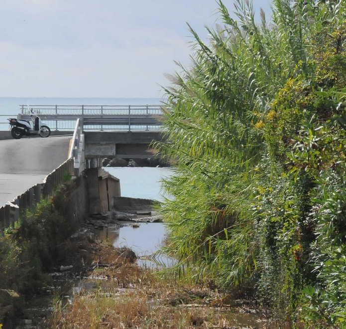 Macché letto del fiume Questa è l’Amazzonia 