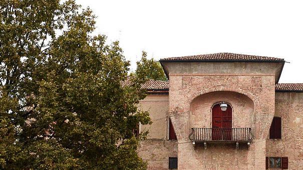 «Saranno salvati sei alberi in più in piazzale Rangoni