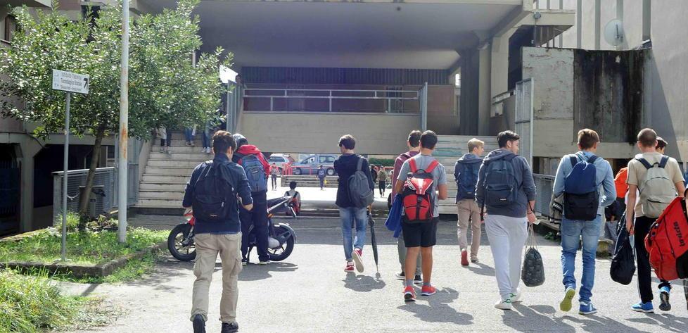 Pistoia, topi in classe e nei corridoi all’istituto tecnico Fermi 