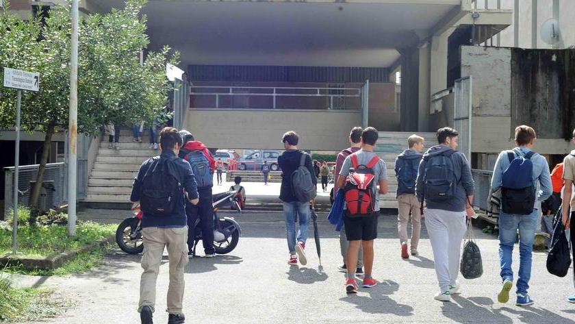 Pistoia, topi in classe e nei corridoi all’istituto tecnico Fermi