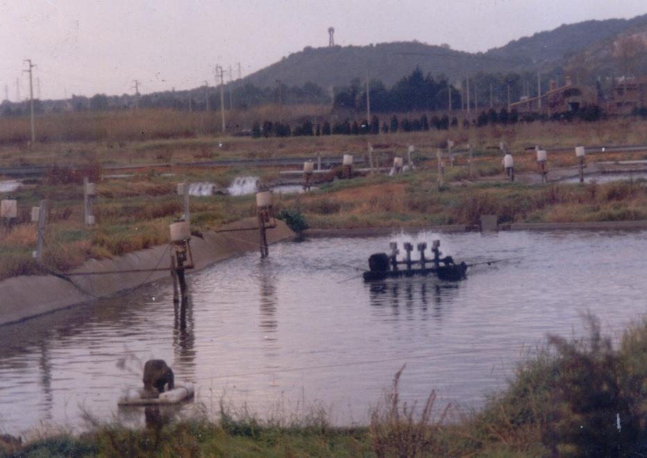  «Più acquacoltura» E Orbetello guarda al modello Norvegia 