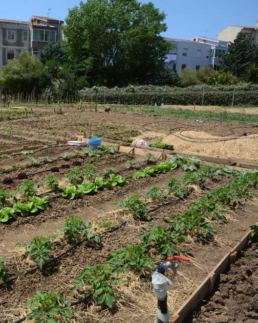Sostegno ai Giardini inclusivi 