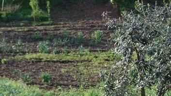 “Orticelli familiari”, il Comune sponsor del ritorno alla terra