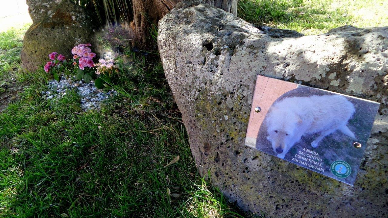 La targa dedicata al cane Bimba