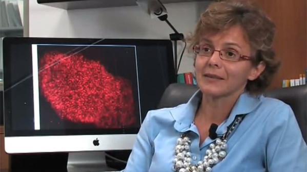 Elena Cattaneo neuroscienziata e senatrice della Repubblica