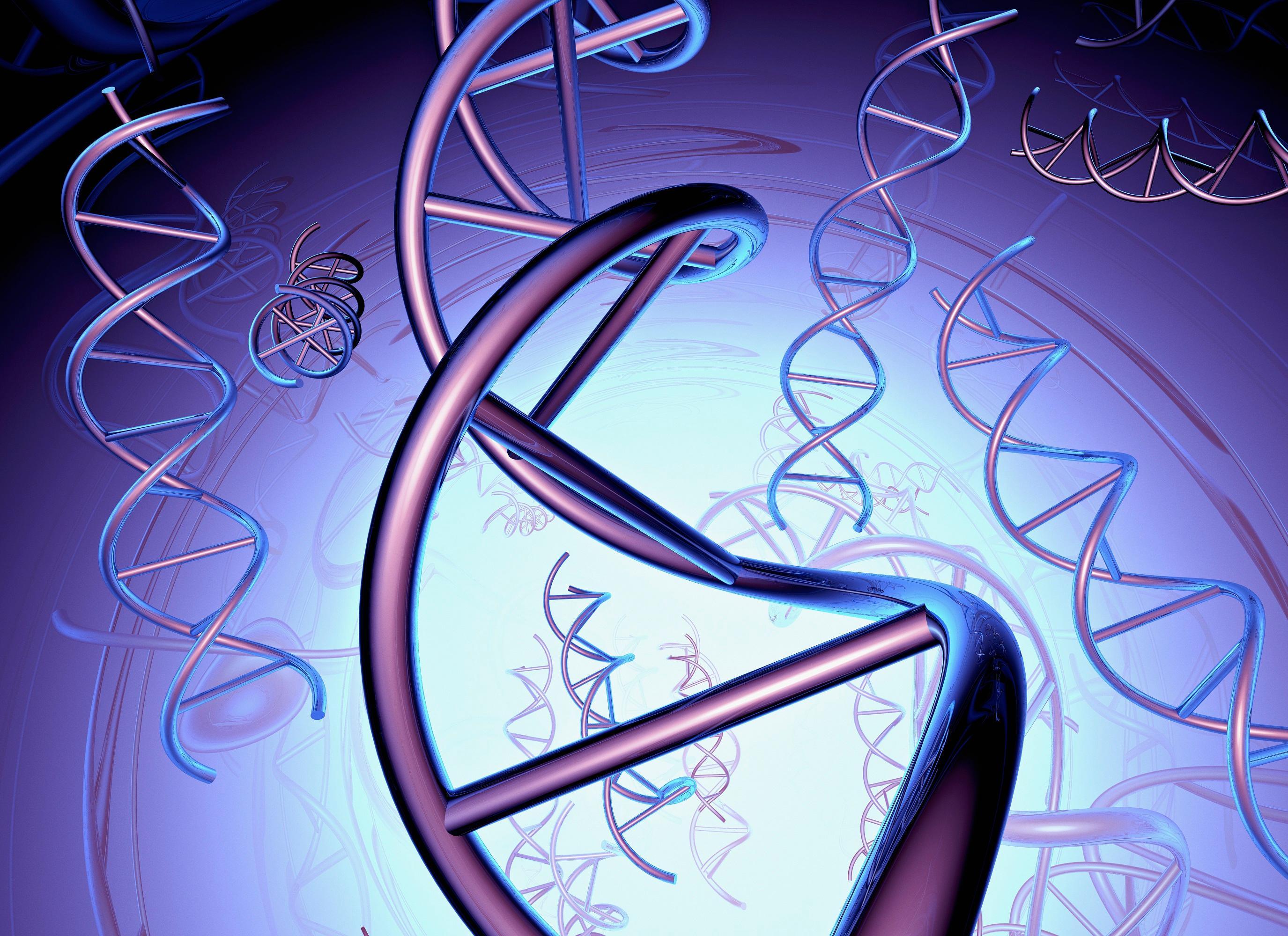 Un modello 3D dell'elica del Dna