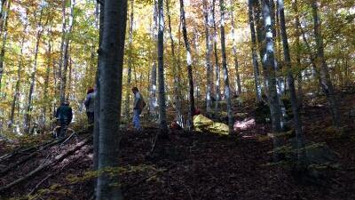Fungaiolo si ferisce nel bosco, cinque ore per recuperarlo