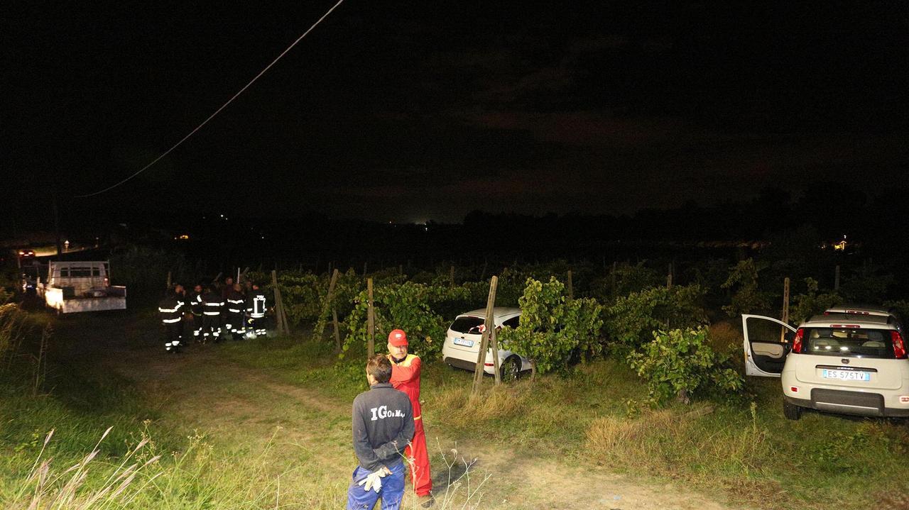 La vigna di Villanova teatro dell'assalto all'oleodotto (foto agenzia Carlo Sestini)