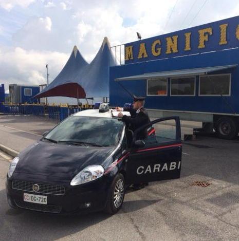 I mezzi del circo acquatico tutti senza assicurazione 