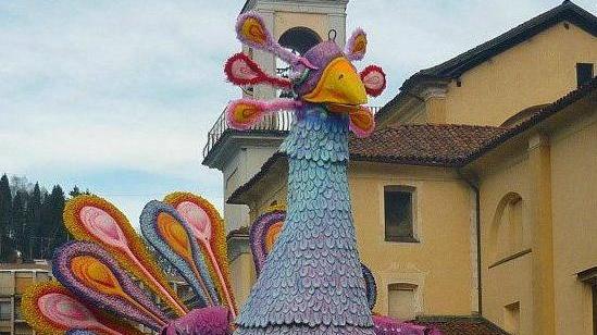 Quando fu clonata l’Araba fenice