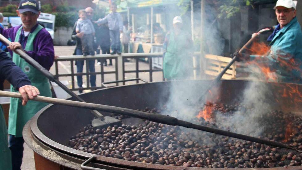 È in arrivo la Sagra della Castagna