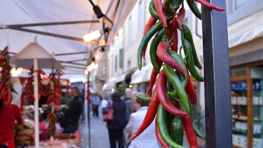 Cento espositori per il peperoncino