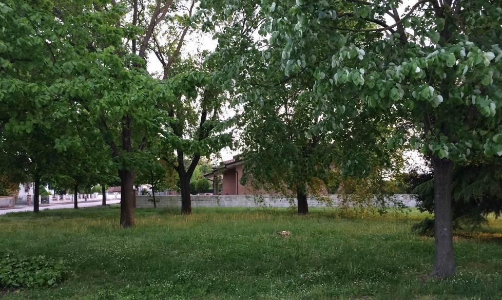 Nel nuovo parco pure i giochi per bambini
