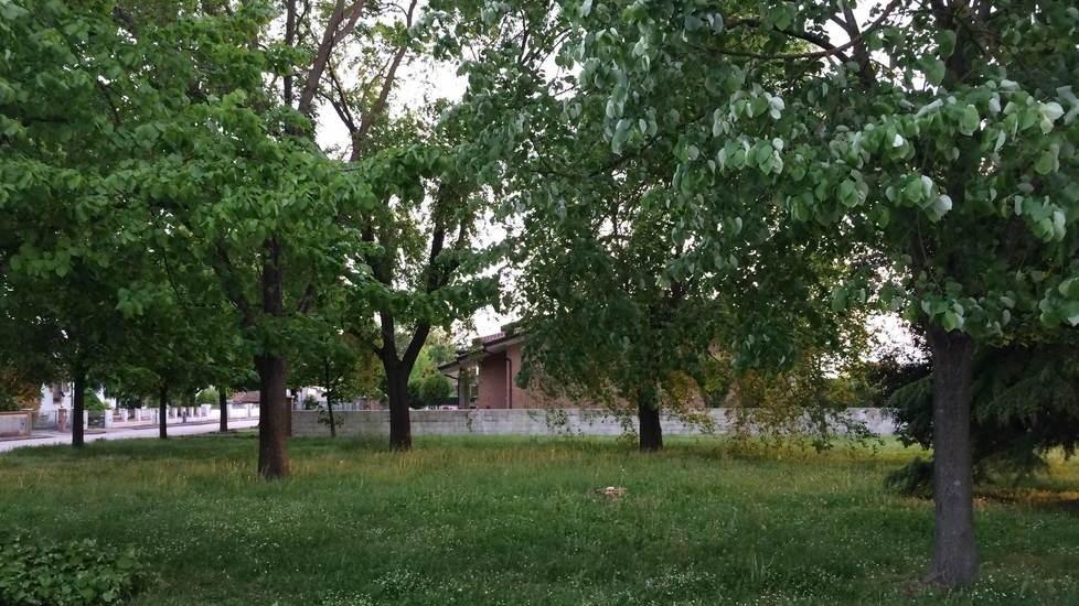 Nel nuovo parco pure i giochi per bambini