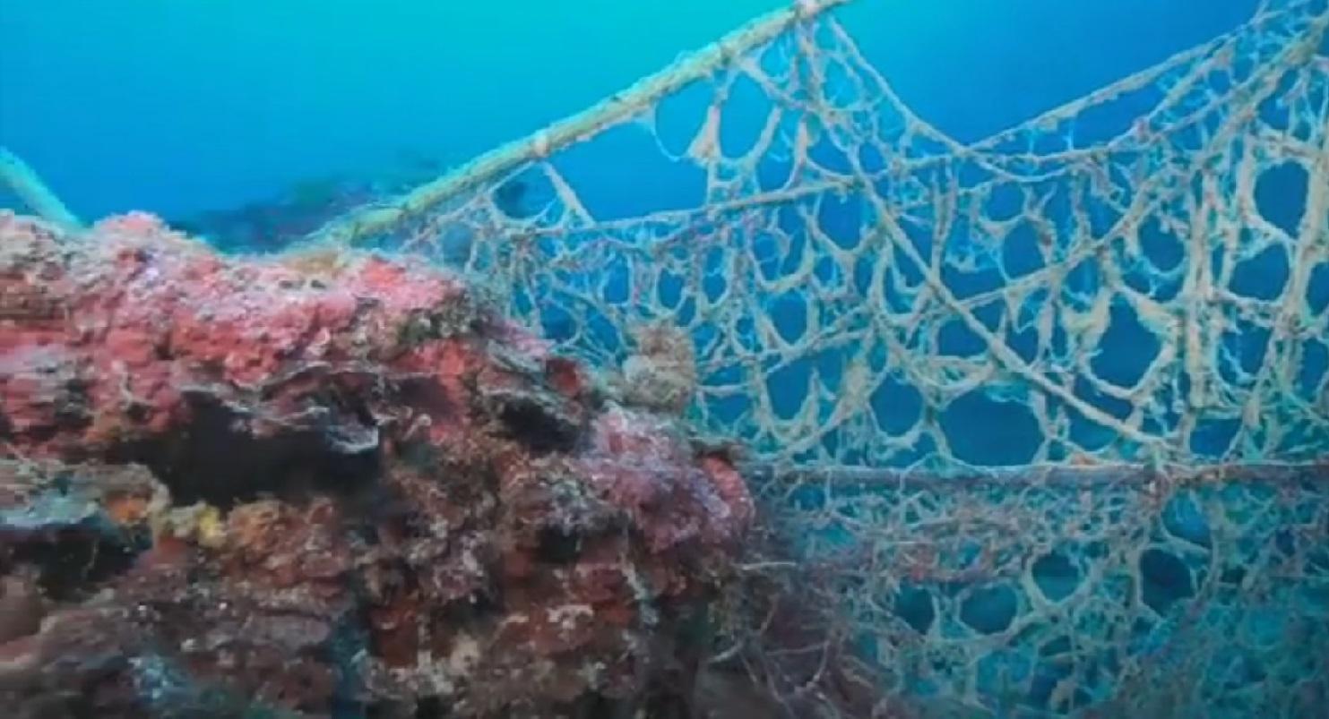 Operazione salva-corallo: i fondali di Calafuria liberati dalla rete killer - Guarda il video 