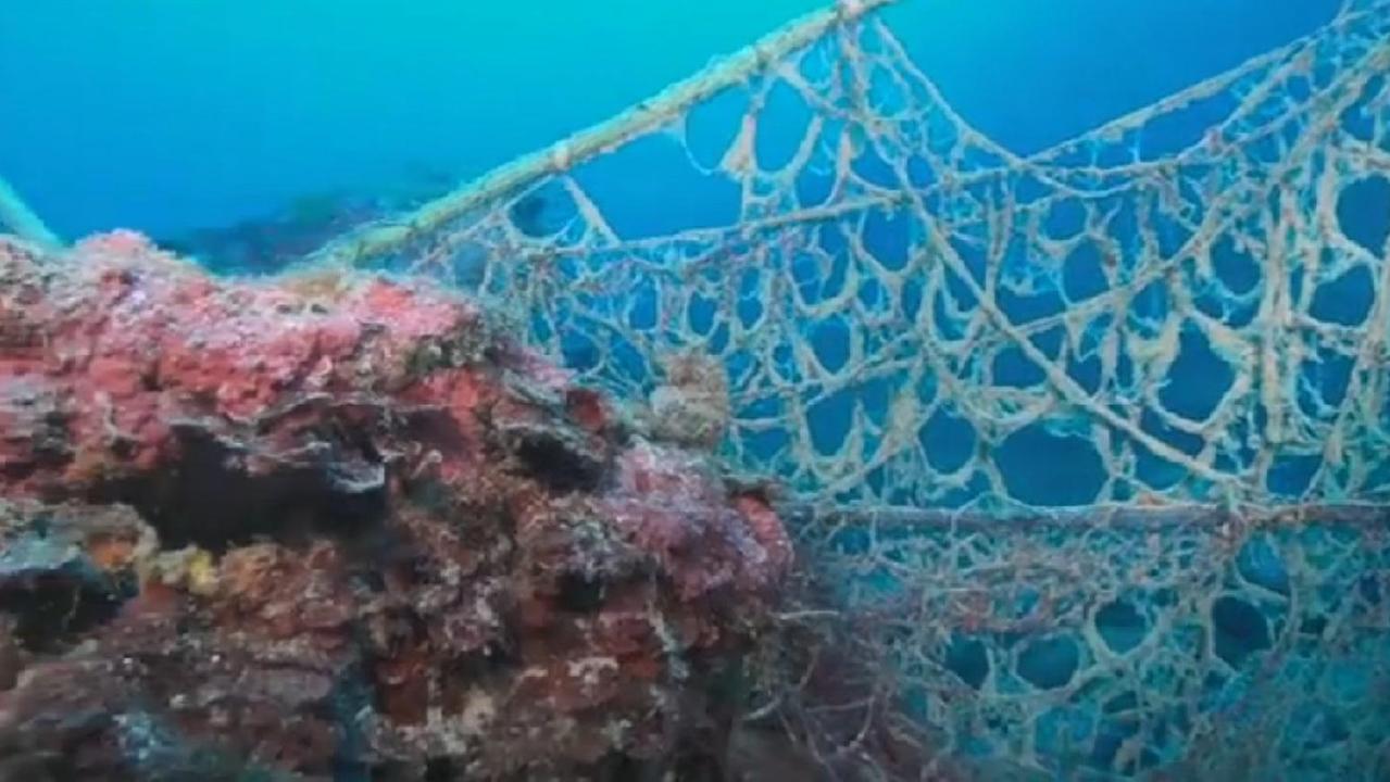 Operazione salva-corallo: i fondali di Calafuria liberati dalla rete killer - Guarda il video