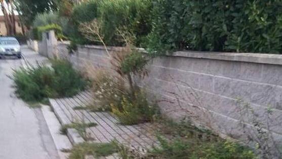 Carreggiate e marciapiedi nel degrado