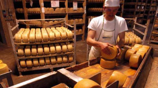 Formaggi, gioco di squadra per favorire il rilancio 