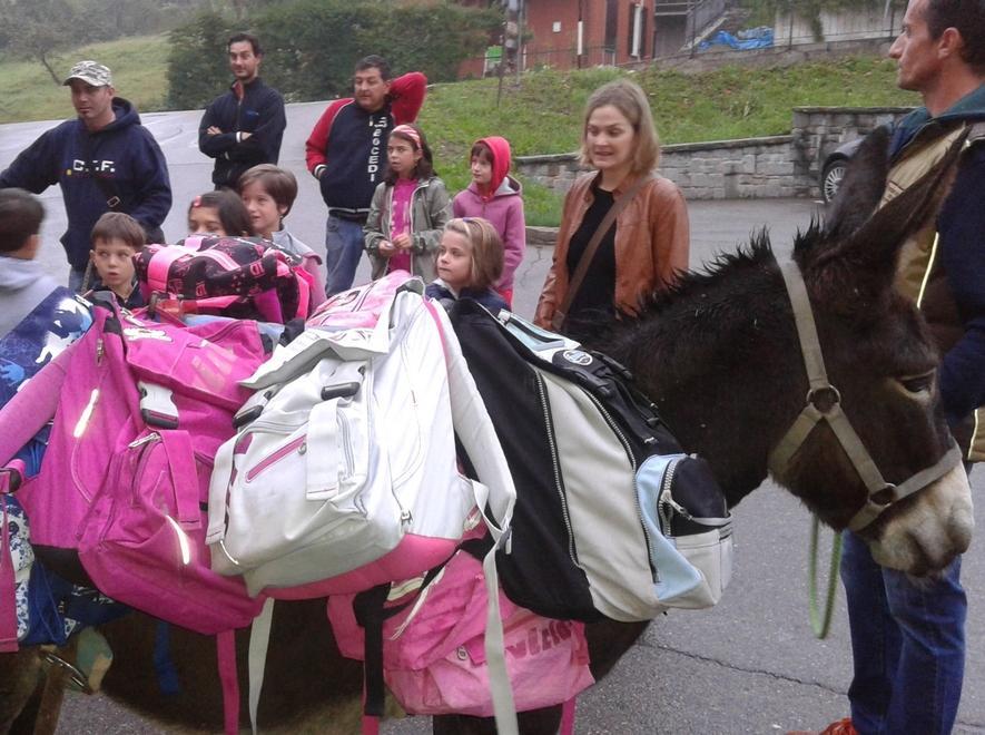 Sologno celebra l’asino di razza reggiana 