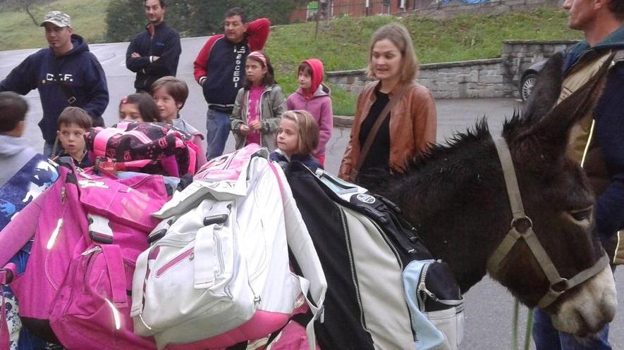 Sologno celebra l’asino di razza reggiana