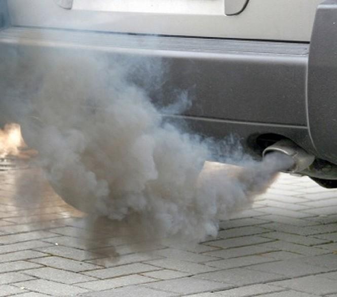 Mille alberi a cinque stelle per combattere lo smog 