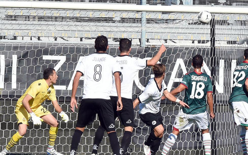 Cagliari lepre, lo insegue un terzetto 