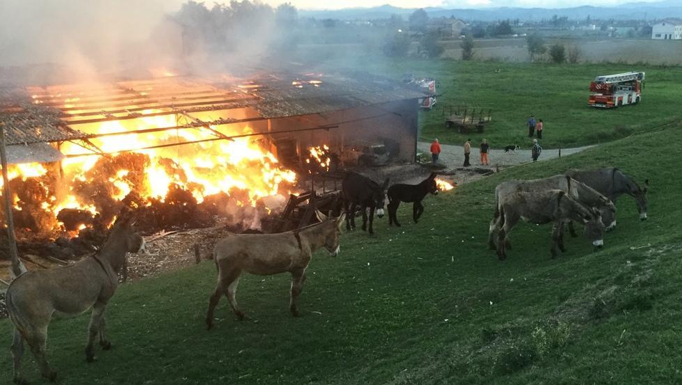Per assistere al rogo folla lungo l’argine del torrente Crostolo 