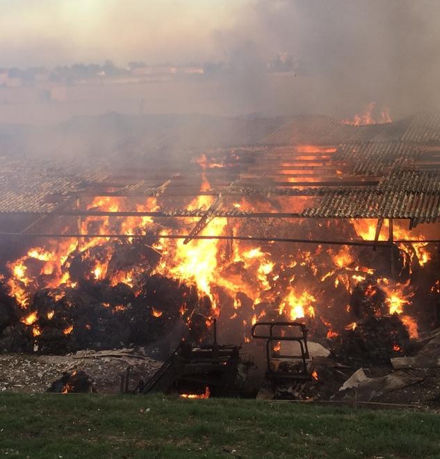 Il fuoco divora quattrocento rotoballe 