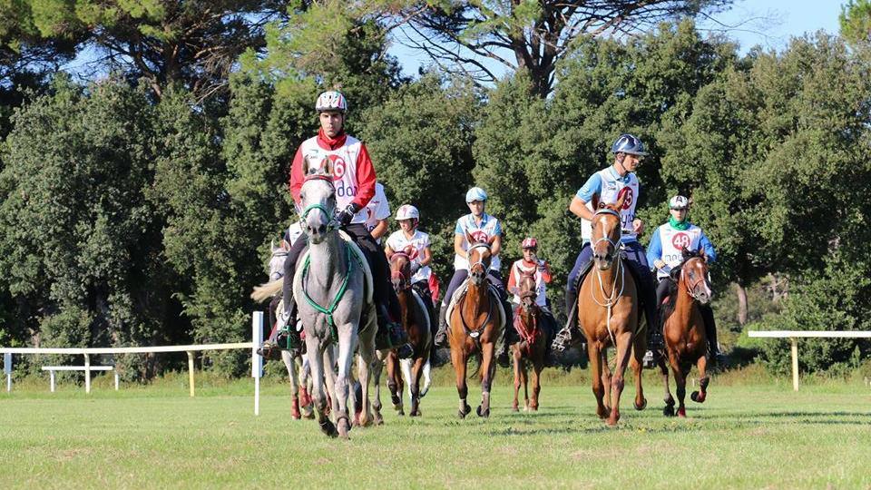 Un eveno all'ippodromo