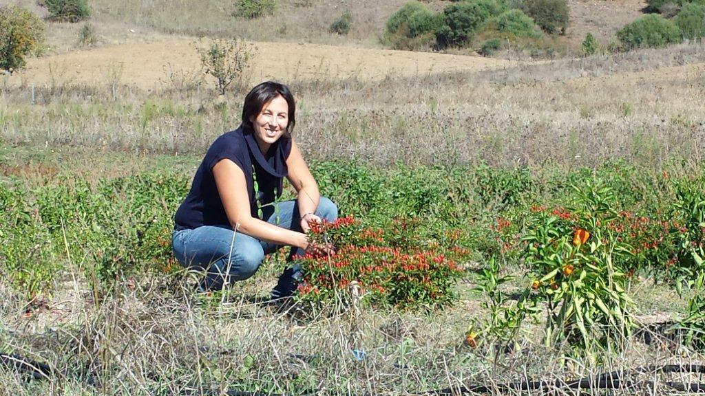 Daniela Scarpellino controlla la qualità dei suoi peperoncini