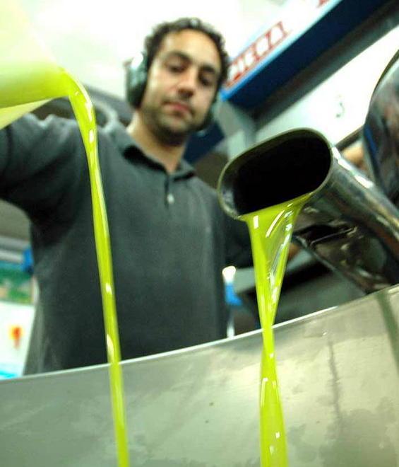 Olio e carta, bene i distretti della lucchesia