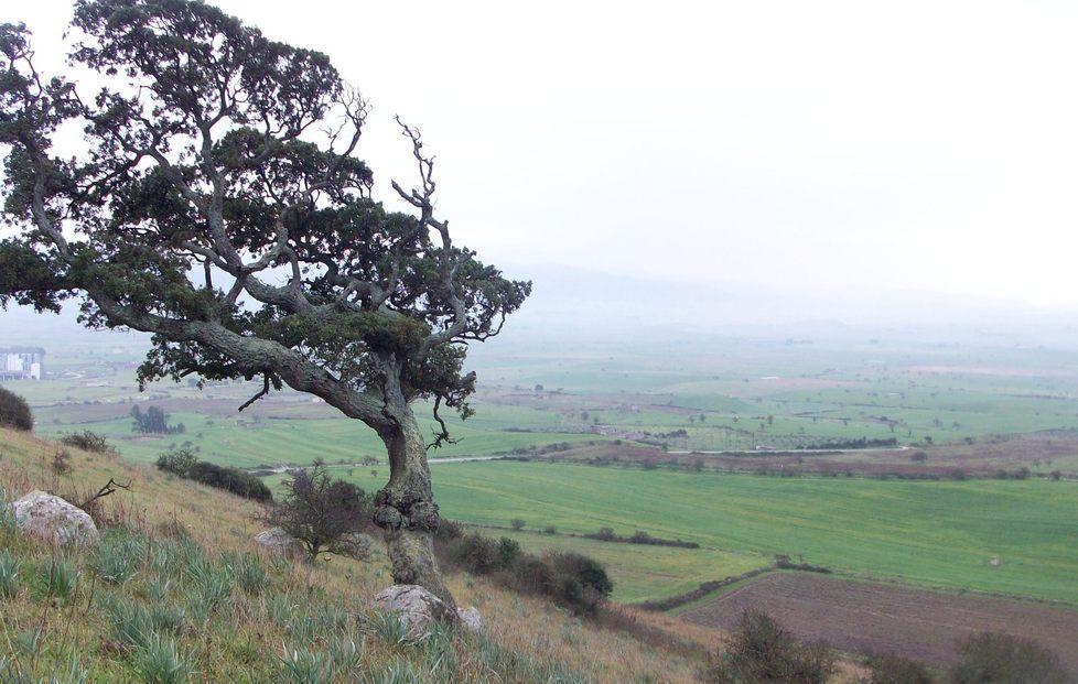 Boom di giovani agricoltori 