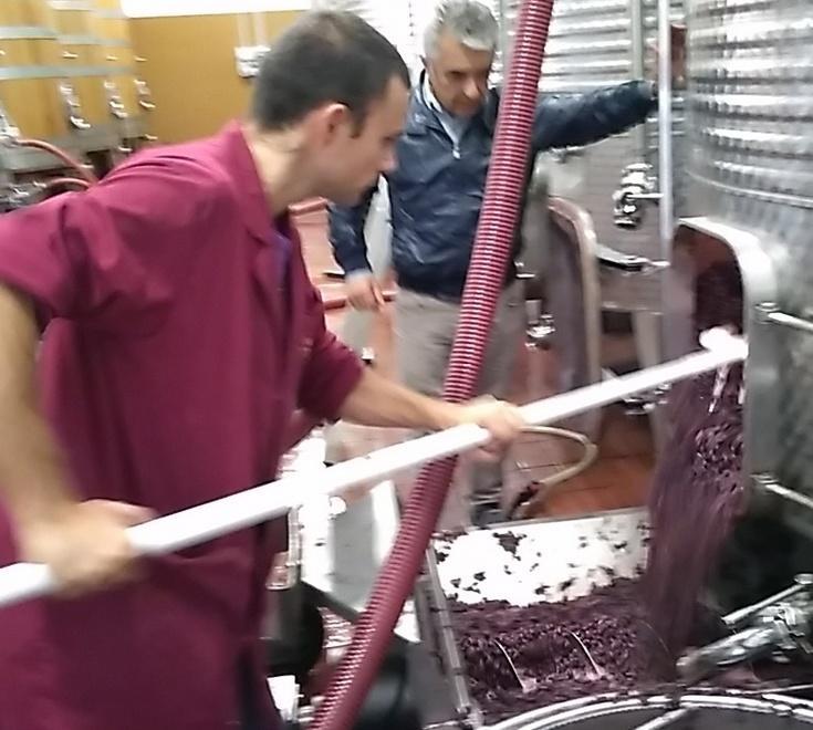 Dorgali, la Cantina sociale gioca la carta della qualità 