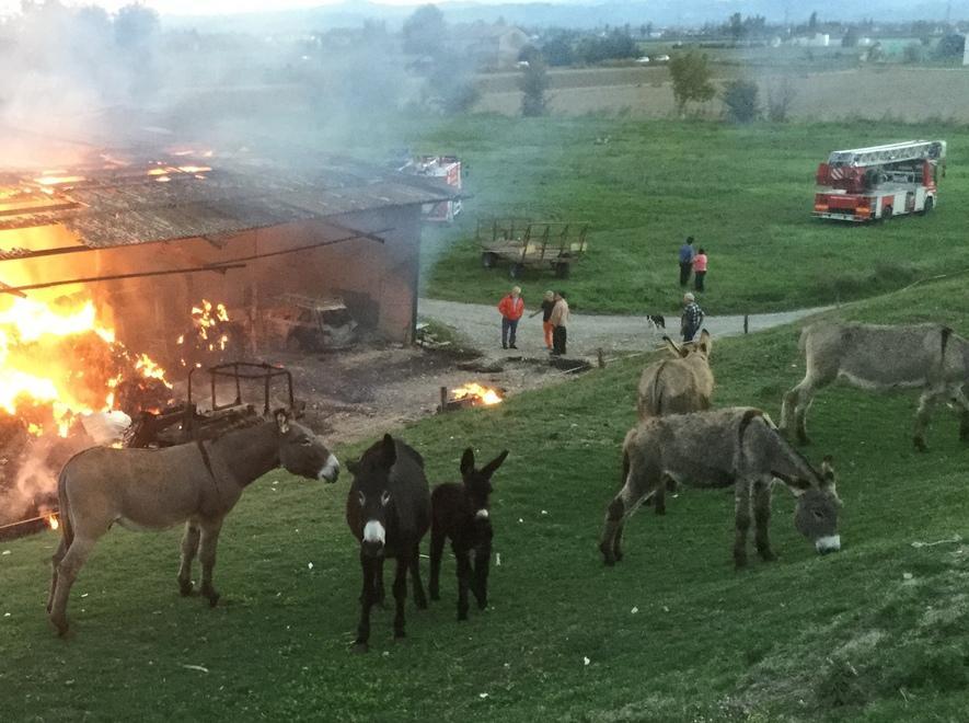 Ancora fiamme nel fienile di Zurco 