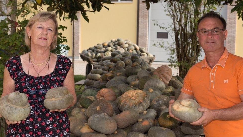 La scoperta della Zucca Berrettina