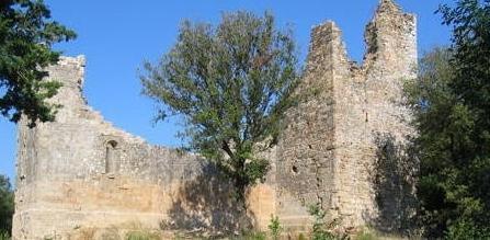 Abbazia di San Pietro, progetto per il restauro 