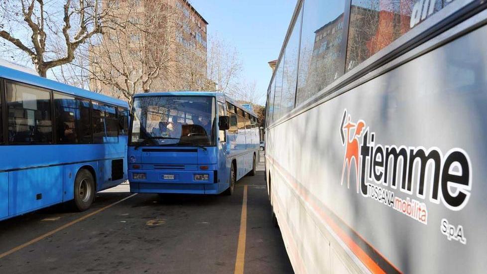 Pullman lascia gli studenti a piedi