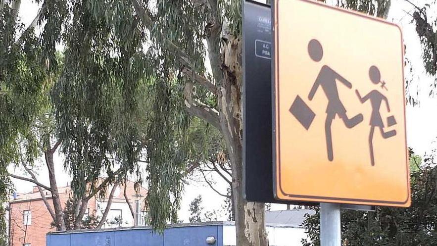 Media Fucini, siringa piantata in un albero