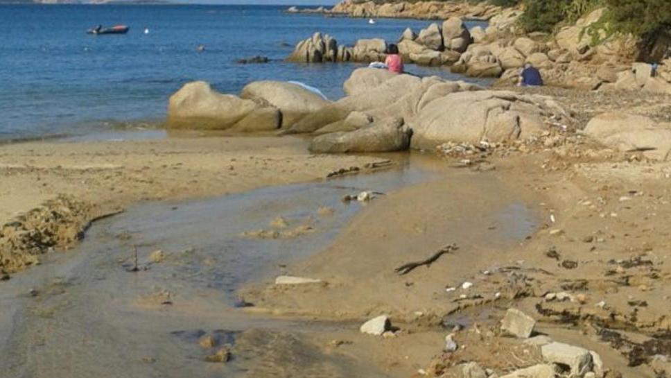 Baja Sardinia, bonifica in spiaggia