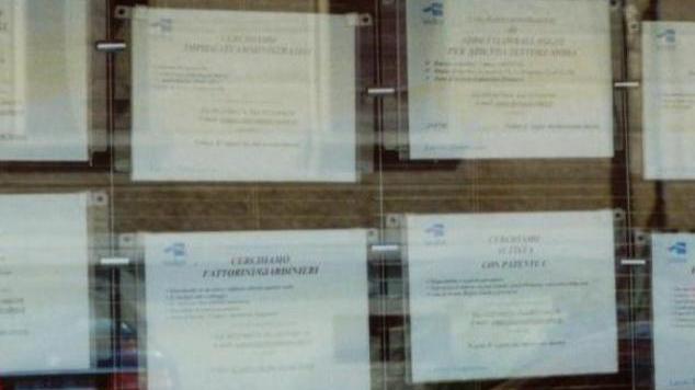 Annunci tranello: disoccupati modenesi beffati
