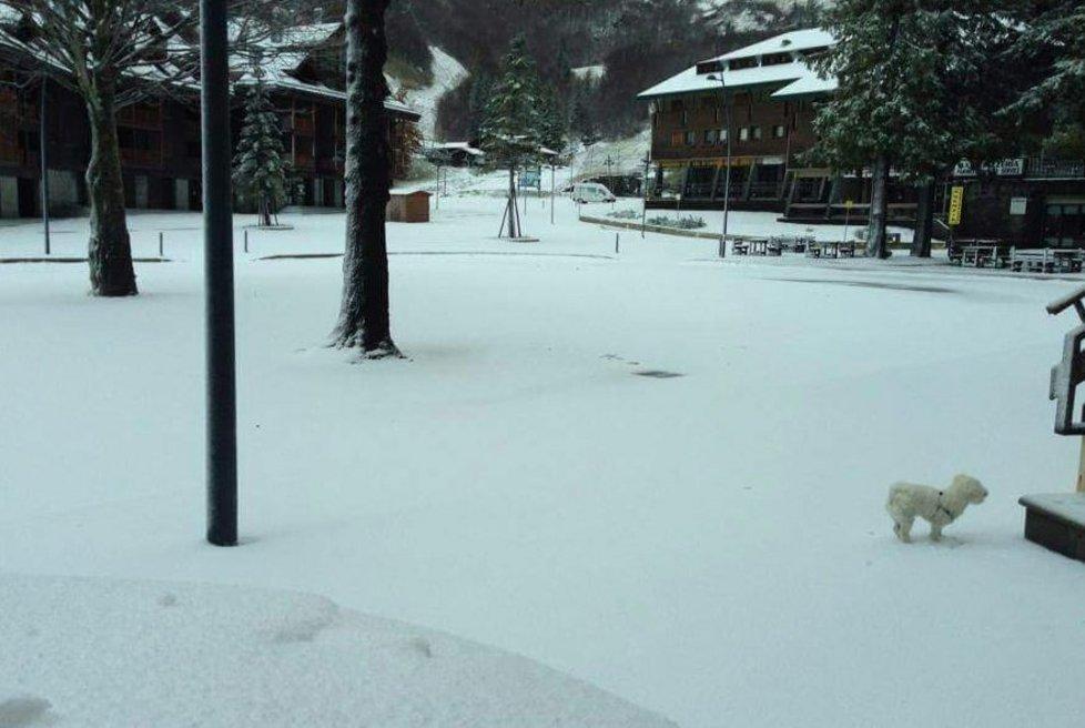 Prima nevicata sulla montagna 