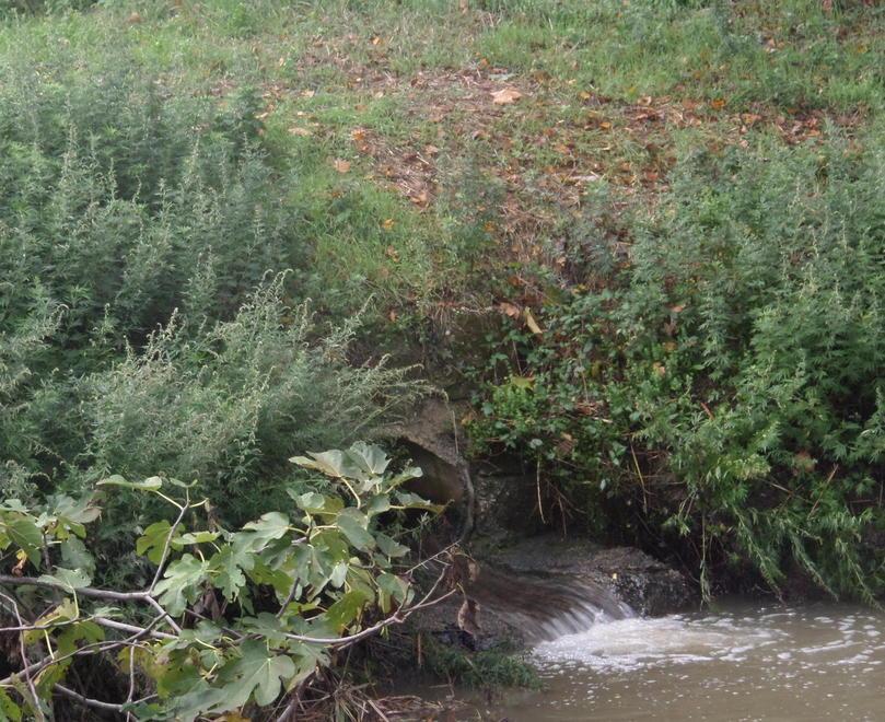Legambiente: ecco il tubo che porta il gasolio sversato