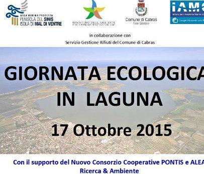 Giornata ecologica in laguna, tutti a raccogliere i rifiuti