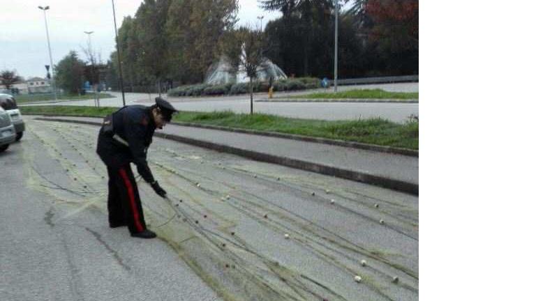 Le reti sequestrate dai carabinieri