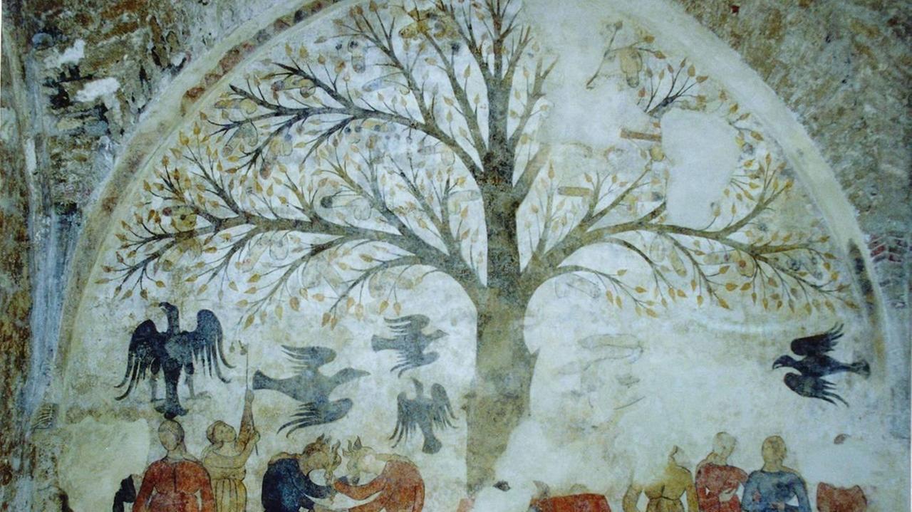 L'albero dell'Abbondanza a Massa Marittima