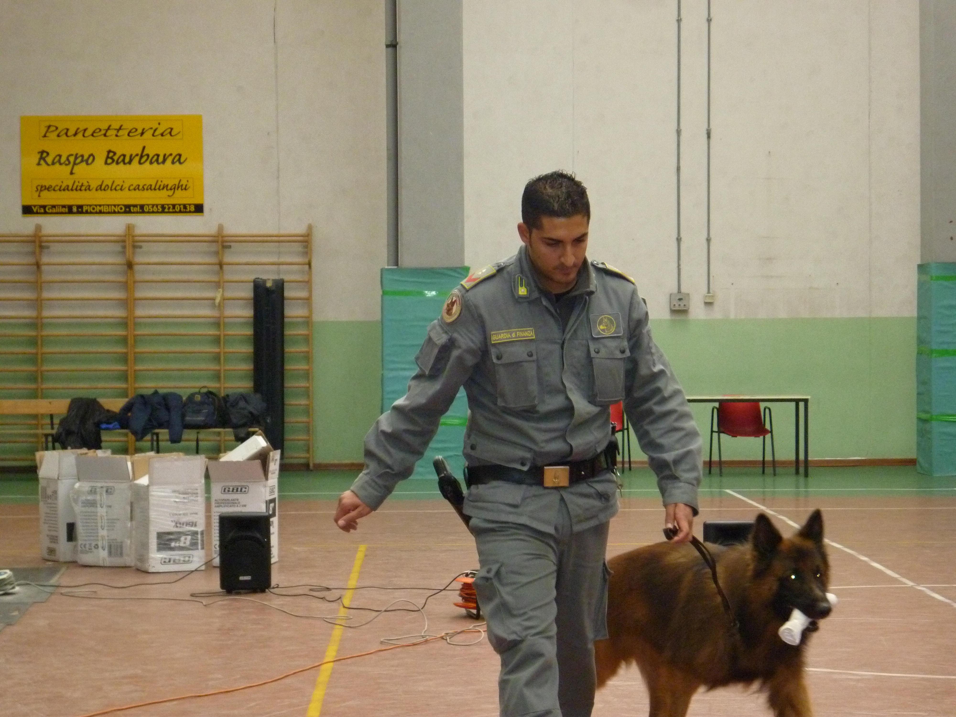 Un cane antidroga della Finanza